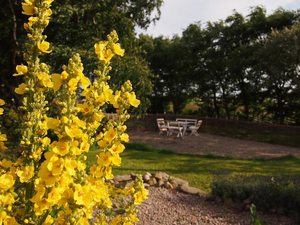 Augustas Bed & Breakfast Bed & Breakfast Falkenberg Luaran gambar